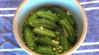 Homemade Crock Dill Pickles  Amazing Fermented Pickles [upl. by Leverett]