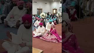 Punjabi wedding punjabiweddinghighlights punjabi bestpunjabiwedding punjabisong [upl. by Nyre262]