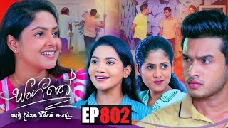 Sangeethe  Episode 802 19th May 2022 [upl. by Gascony]