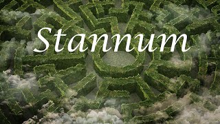 Stannum metallicum  Zinn  Wenn das innere Kind seinem Weg nicht trauen kann  Seelenhomöopathie [upl. by Pilloff]