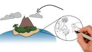 Introduction to Soil part 1 [upl. by Marcelle]