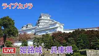 ライブカメラ 姫路城 世界遺産 国宝 兵庫県 Live camera Himeji Castle Hyogo Prefecture World Heritage National Treasure [upl. by Idnim]