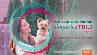 Simparica TRIO TV Commercial Canada 202122 [upl. by Rawdon]