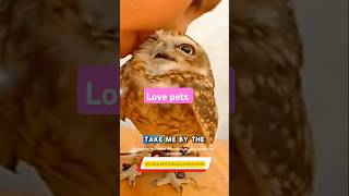 The love between humans and their petsPetLoveUnconditionalBondHumanAnimalConnection cute [upl. by Cohen]