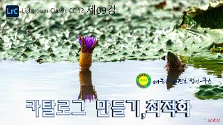 라이트룸클래식12 09강카탈로그 만들기최적화 [upl. by Orna]