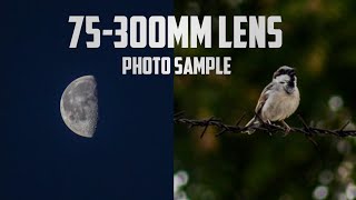 Canon 75300mm lens Photo samples  75300mm lens review  Best photography lens  perfect capture [upl. by Ecinnaj]