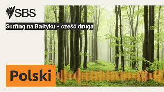 Surfing na Bałtyku  część druga  SBS Polish  SBS po polsku [upl. by Jeffry]