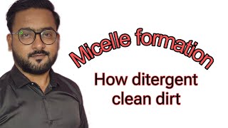 Micelle Formation મિશેલ રચના  Gujarati Medium English Medium  Urdu Medium [upl. by Hgiellek]