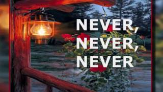 NEVER NEVER NEVER  Lyrics [upl. by Russel]