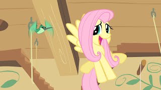 Dr Fluttershy [upl. by Aieka]