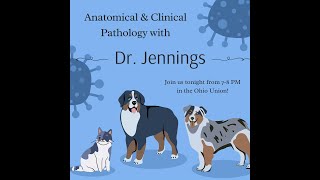 OSU PreVeterinary Medical Association Fall General Body Meeting 4 Dr Jennings Part 2 [upl. by Herrah405]