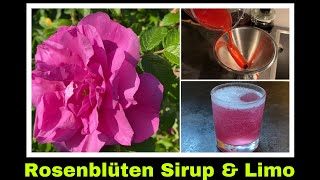 Rosenblütensirup  Rohsirup aus Rosenblüten  Rosen Limonade  Selbstversorgung Rosensirup [upl. by Aikahs]