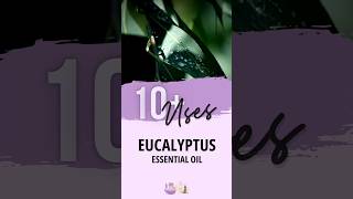 Eucalyptus Essential Oil Uses  Essential Oils Education [upl. by Asilem]