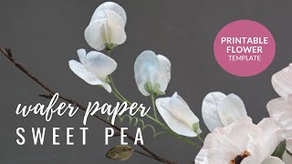 How to make Sweet Pea Flowers for cake decorating using wafer paper  Modern Cakes and Florals [upl. by Nylcaj]