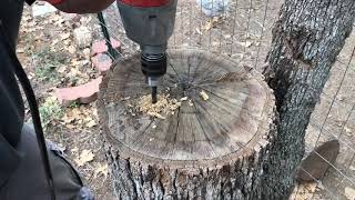 Burning a tree stump easy removal [upl. by Otrebliw]