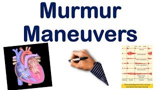 Heart Murmur Maneuvers Dynamic Auscultation Part 2 USMLE STEP NCLEX COMLEX [upl. by Lohman]