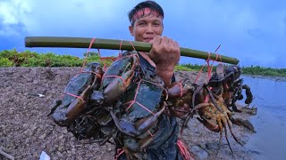 Amazing  The Traditional Way of Catching Lots of Big Mud Crab In The Swamp [upl. by Buchalter]