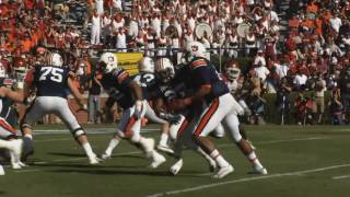 Cam Newton  201011 Highlights  All the Above HD [upl. by Kiraa341]