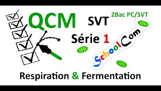 QCM  SVTSérie 1 2bac PC  2bac SVT Unité 1Chapitre 1 Respiration amp Fermentation [upl. by Ailam]