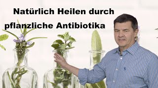 Natürlich heilen  pflanzliche Antibiotika  Aromatogramm [upl. by Emmalynne]