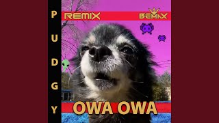 Owa Owa feat Pudgy [upl. by Illona]