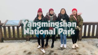 Yangminshan National Park Winter Season [upl. by Nura]