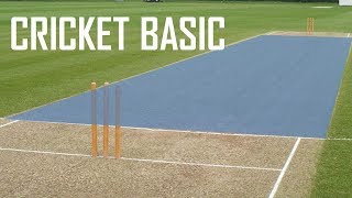 Cricket Basic Parameters  Cricket Fielding Positions  Batting Shots in Cricket [upl. by Yerbua]