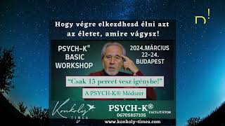 PSYCHKÂŽ Basic Workshop 2024032224 Budapest [upl. by Ashbey]