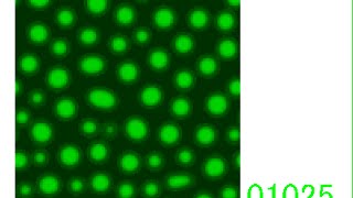 Spinodal decomposition  a simulation [upl. by Kerrison]