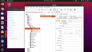 How To Use MP3 ID3 Tag Editor Software [upl. by Harol]