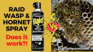 RAID Wasp amp Hornet Spray 👍 🐝 Shorts [upl. by Franky735]