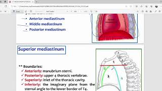 CVS Anatomy  L1  Mediastinum and Pericardium  Mutah [upl. by Donni487]