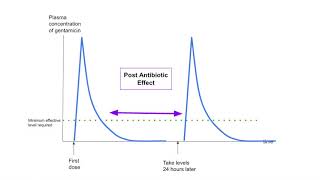 Why gentamicin levels are taken  pharmacokinetics dosing monitoring creatinine clearance [upl. by Arrehs]