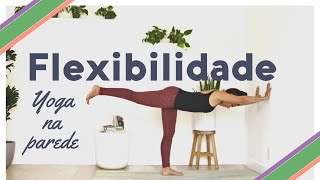 Yoga para Relaxamento e Flexibilidade na Parede  18Min  Pri Leite [upl. by Otxis]