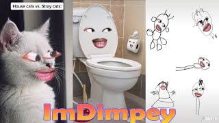 Try Not To Laugh Challenge Funny ImDimpey TikTok Videos of 2022 All Of ImDimpey Videos [upl. by Winser]