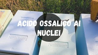 Apicoltura trattiamo i nuclei con acido ossalico [upl. by Vanya]