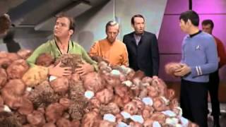 Star Trek The Trouble With Tribbles Clip [upl. by Adle]