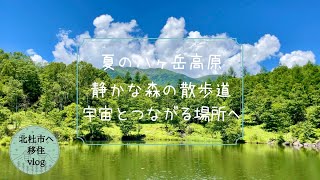 【北杜市移住暮らし】夏の八ヶ岳高原、静かな森の散歩道野辺山、宇宙とつながる場所 [upl. by Isac]