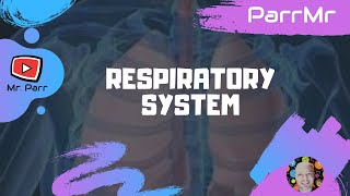 Respiratory System Song [upl. by Eilama111]