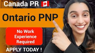 Ontario PNP  Canada PR 🇨🇦  OINP International Student Stream [upl. by Kabob]