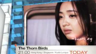 Today 323 The Thorn Birds  The First Episode [upl. by Bryn]