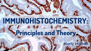 Immunohistochemistry Principles and Theory [upl. by Kcirddes]