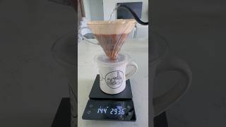 Fresh Roasted beans Coffee recipe pourover hario v60 congo cafe home [upl. by Bluefarb895]