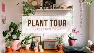 PLANT TOUR 2021 – Ma collection de 80 plantes dintérieur 🌿 [upl. by Netsua137]