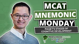 Piagets Stages of Cognitive Development  MCAT Mnemonic Ep 24 [upl. by Rezzani673]