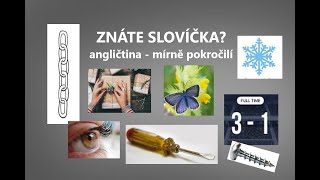 ANGLIČTINA  MÍRNĚ POKROČILÍ  Znáte slovíčka Umíte je použít ve větách cvičení [upl. by Ecinereb]