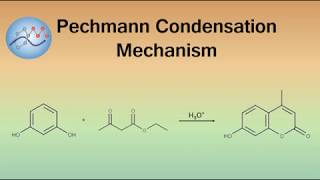 Pechmann Condensation Mechanism Coumarin Synthesis  Organic Chemistry [upl. by Stromberg]