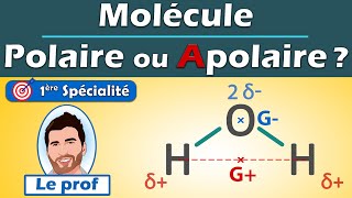 POLAIRE ou APOLAIRE  💡 méthodologie  molécule deau H20  1ère spé  Physique Chimie  Lycée [upl. by Emeline]