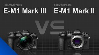 Olympus OMD EM1 Mark III vs Olympus OMD EM1 Mark II [upl. by Constantin253]