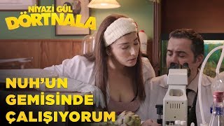 Niyazi Gül Dört Nala  Nuhun Gemisinde Çalışıyorum [upl. by Ahseiuqal200]